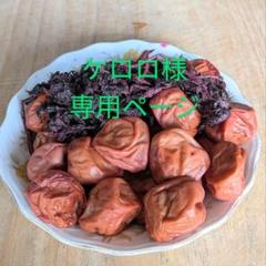 極美品　長谷園　浅漬け器　漬け物　つけもの名人 Amazon｜長谷製陶 長谷園 浅漬け器 つけもの容器 重石・レシピ付