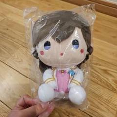 名探偵コナン　ぽわぽわおすわりぬいぐるみ　毛利蘭　セガラッキーくじA賞