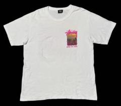 STUSSY ステューシー 2020 CLEAR DAY プリント 半袖Tシャツ