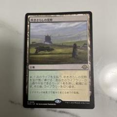 MTG 吹きさらしの荒野　旧枠　4枚セット FOIL)(旧枠仕様)吹きさらしの荒野/Windswept Heath《英語》【MH3】