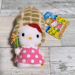 ご当地キティぬいぐるみ 房総限定 ハローキティ - メルカリ