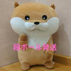 可愛い嘘のカワウソ　鼻かぜぇBIGぬいぐるみ