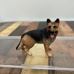 2025年最新】シュライヒ 犬の人気アイテム - メルカリ