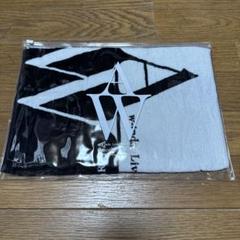 w-inds. AW Tour 2010 in YOKOHAMA タオル