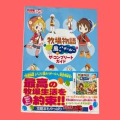 【初版】 牧場物語 ようこそ!風のバザールへ ザ・コンプリートガイド