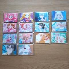 わんだふるぷりきゅあ！感謝祭 アクリルマグネット 全14種