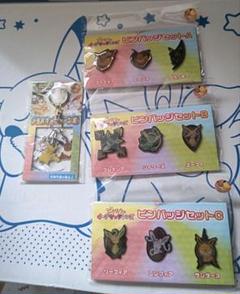 ポケモン ピカチュウと イーブイフレンズ ピンバッジセット 3