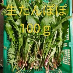 小動物おやつ 生たんぽぽ100g!