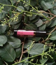 doTERRA ローズタッチ 10ml ドテラ ロールオン 新品未開封 ドテラ ローズタッチ | doTERRA Essential Oils