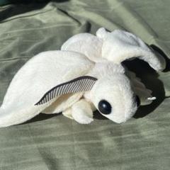 S*o様 特別展 昆虫 MANIAC 限定 オリジナル 蚕蛾　ぬいぐるみ 新品未 Amazon.co.jp: 特別展 昆虫 MANIAC 限定 オリジナル 蚕蛾 カイコ