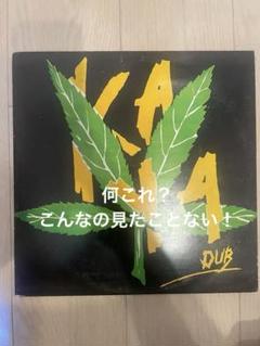 激レアLP The Agrovators – Kaya Dub The Aggrovators – Kaya Dub – Vinyl (LP, Compilation), 2007