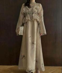 willfully オケージョンドレス ベージュ WILLFULLY チュール刺繍パネルベージュドレス (L) をレンタル