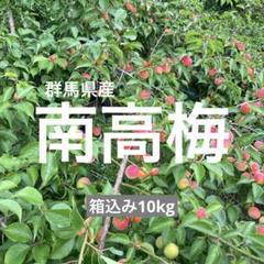 なみちゃん　群馬県産　南高梅　10キロ　農家直送 なみちゃん様専用 群馬県産 南高梅 10キロ 農家直送 - メルカリ