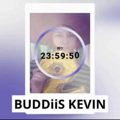 BUDDiiS チェキ Favsquad KEVIN ケビン 生誕 1枚 グッズ