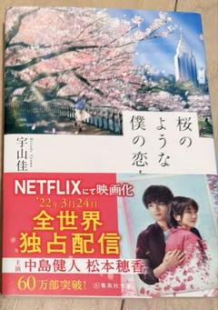 桜のような僕の恋人