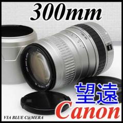 キヤノン用⭐️シグマ300mm望遠レンズ⭐️EOS Kiss⭐️Canon⭐️SIGMA 2025年最新】EOS KISS シグマの人気アイテム - メルカリ