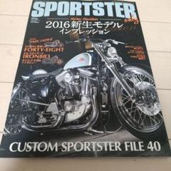 カスタムバーニング　スポーツスター　オンリーのサムネイル