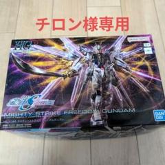 2025年最新】MiGHTY strike freedomの人気アイテム - メルカリ