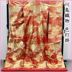 501w1〇金糸 色打掛 扇 菊 結婚式 ブライダル お色直し 朱色〇美品 501w1〇金糸 色打掛 扇 菊 結婚式 ブライダル お色直し 朱色〇美