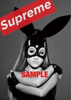supremeポスター Supreme フェアチャイルド パリ Fairchild Paris トゥイティー S