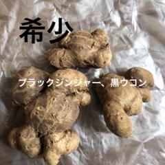 ◎在庫限り◎黒ウコン◎球根◎芽出し種芋◎ブラックジンジャー◎脂肪燃焼◎自然栽培◎ ◎在庫限り◎黒ウコン◎芽出し種芋4個◎ブラックジンジャー