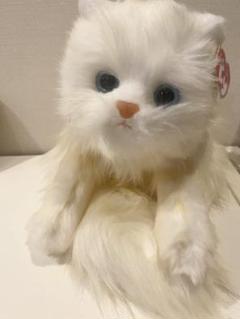 2025年最新】Tyクラシック ぬいぐるみの人気アイテム - メルカリ