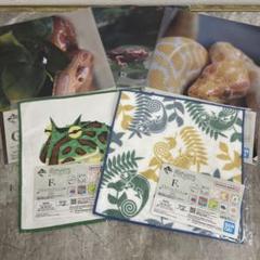 一番くじ　爬虫類&両生類　F賞 G賞セット