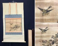 模写/尾形光琳/千波千鳥図/花鳥図/山水図/掛軸☆宝船☆AH-644 模写/尾形光琳/千波千鳥図/花鳥図/山水図/掛軸☆宝船☆AH-644