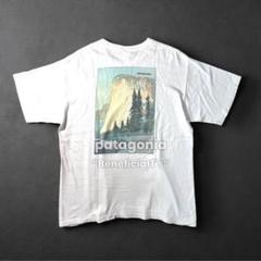 patagonia BeneficialT's 吉田博 Yosemite 後期