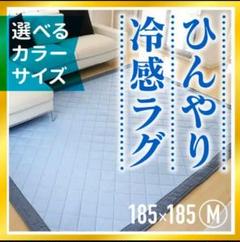 お買い得❗冷感 洗える ラグ マット カーペット(Mサイズ)❗