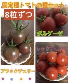 2025年最新】トマト 種子の人気アイテム - メルカリ