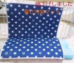保冷剤、ヒーターのマット【星】