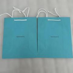 TIFFANY CHANELショッパー専用 ビニールバッグキット Tiffany & Co. - TIFFANY ティファニー 紙袋 ショッパーの通販