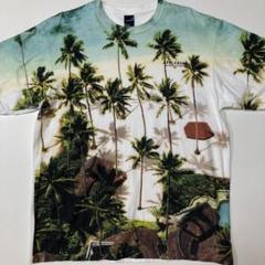 APPLEBUM パームツリーTシャツ XXL