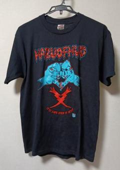 古着 フルーツオブザルーム FRUIT OF THE ROOM Tシャツ