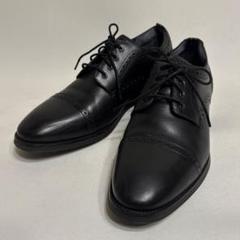 COLE HAAN コールハーン GRAND 36φ革靴 ストレートチップのサムネイル