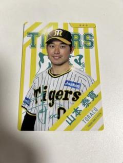 2025年最新】山本泰寛の人気アイテム - メルカリ