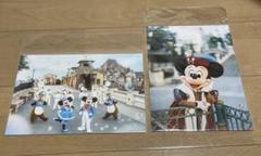 実写 ディズニー イマジニングザマジック 写真 ミッキー ミニー ミラコスタ 公式】「イマジニング・ザ・マジック」写真家：蜷川実花さんと