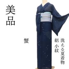 美品 洗える夏着物 絽 小紋 着物 A2995 美品 洗える夏着物 絽