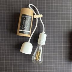 LEDスワンバルブ SWB-E002L E26 6.5W