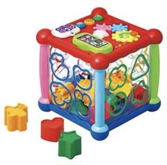 Toyroyal 知育玩具 立方体型　型はめパズル