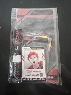 ハイキュー　チケットホルダー＆バックステージパス風カードホルダー