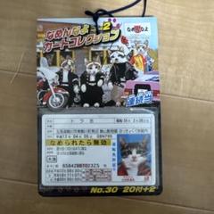 なめ猫　25周年記念　ゴールド　免許証　レア 限定 レア なめ猫 免許証 なめんなよゴールド免許証 - メルカリ