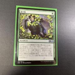夏の帳　M20　日本語版foil FOIL)夏の帳/Veil of Summer《日本語》【M20】