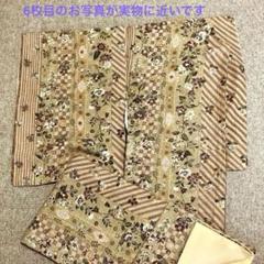 色無地 正絹 紋無し 地模様に菊と紅葉 膨れ織広衿 袷 着物 U-3421