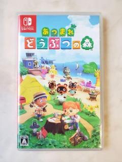 あつまれ どうぶつの森 Nintendo Switch