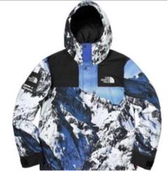 supreme northface 17aw 雪山 L ノースフェイス