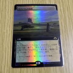 2025年最新】フェッチランドの人気アイテム - メルカリ