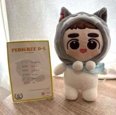 EXO - EXO ギョンス D.O. ぬいぐるみ セット EXO D.O. ディオ ギョンス ペンギン10cm ぬいぐるみ セット