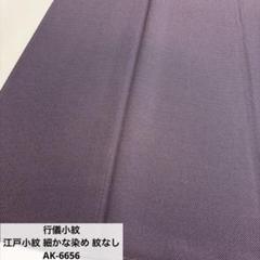 行儀小紋 江戸小紋 細かな染め 紋なし 正絹 AK-6656